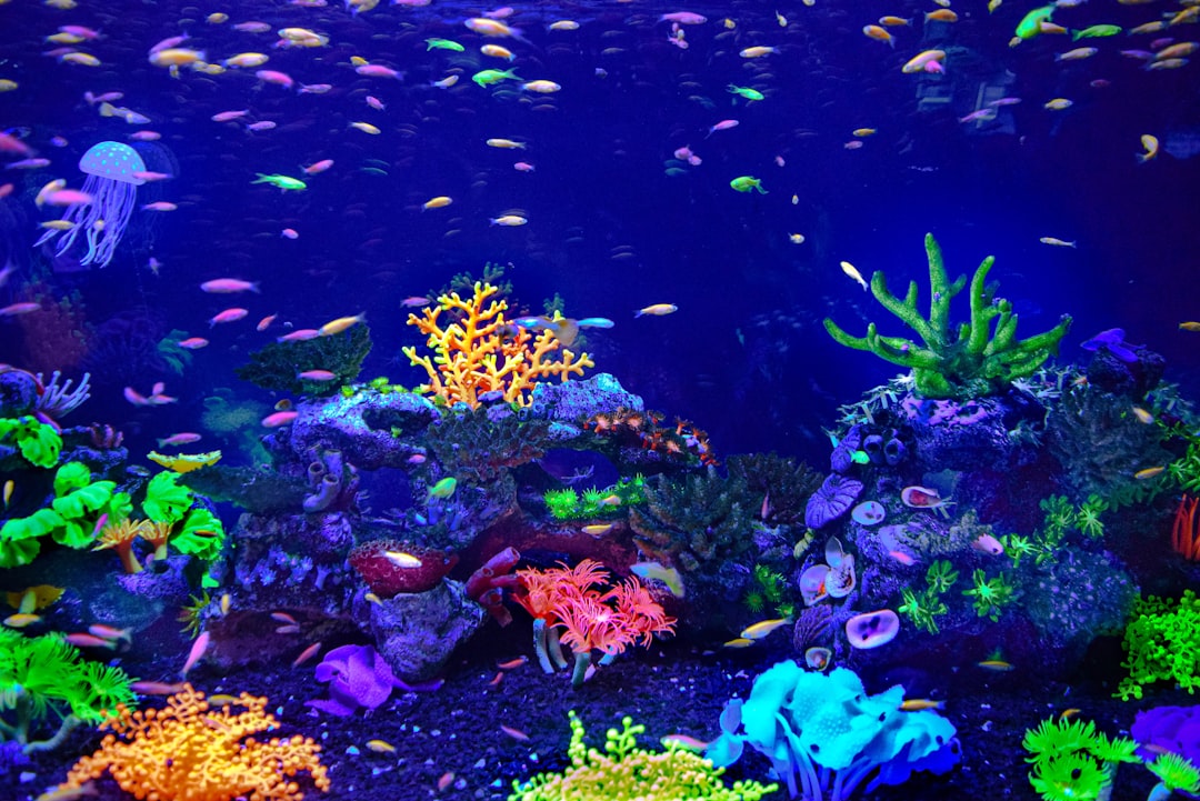 External canister filter next to a freshwater aquarium