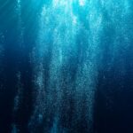 Aquarium air bubbles