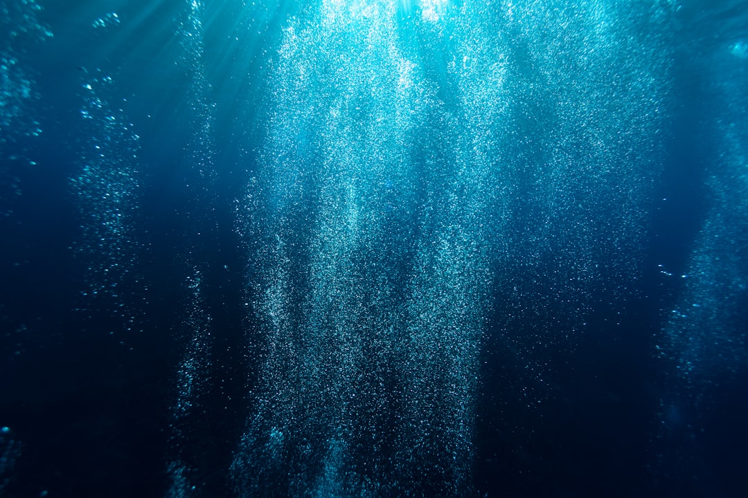 Aquarium air bubbles
