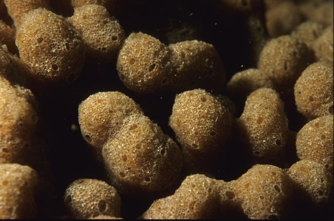Aquarium fish food pellets
